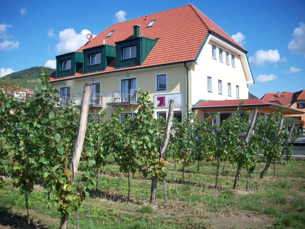 Hotel Garni Weinquadrat Weissenkirchen in der Wachau Εξωτερικό φωτογραφία