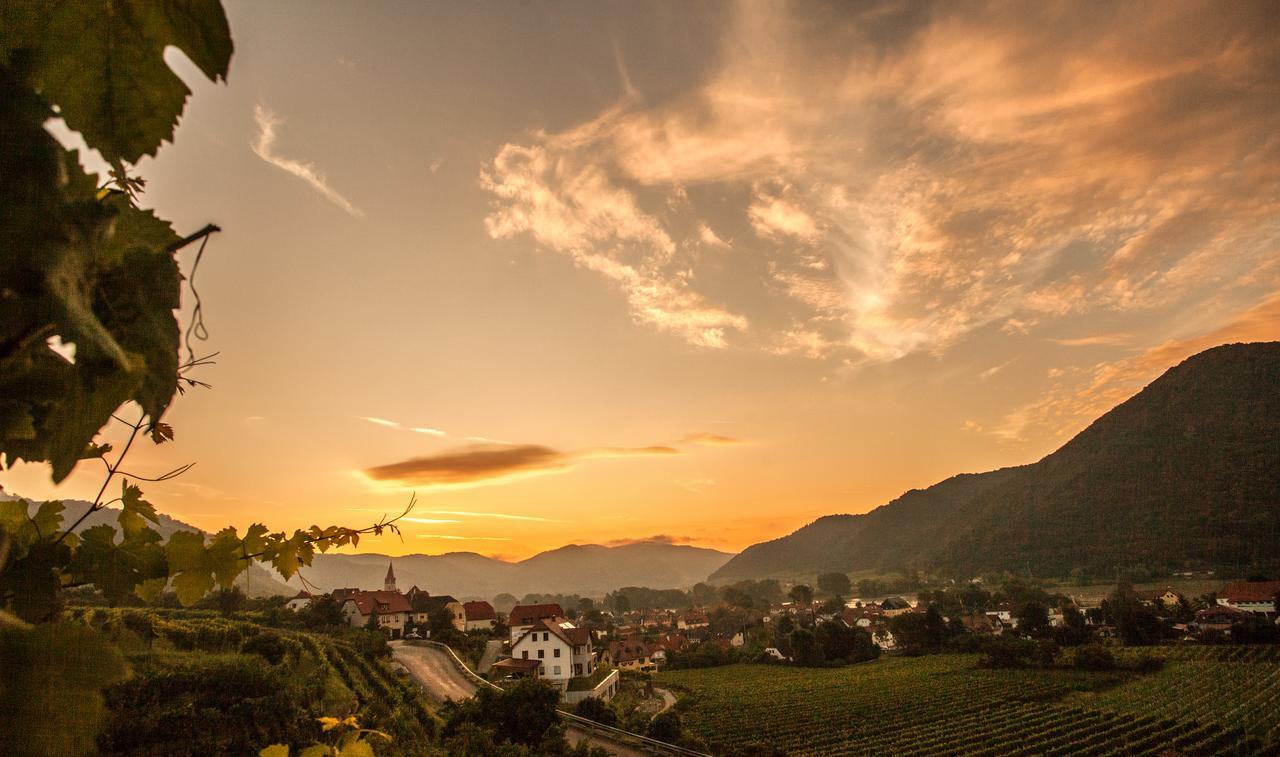 Hotel Garni Weinquadrat Weissenkirchen in der Wachau Εξωτερικό φωτογραφία